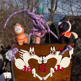 一瞬…龍に見えたけど…
馬でした！😅