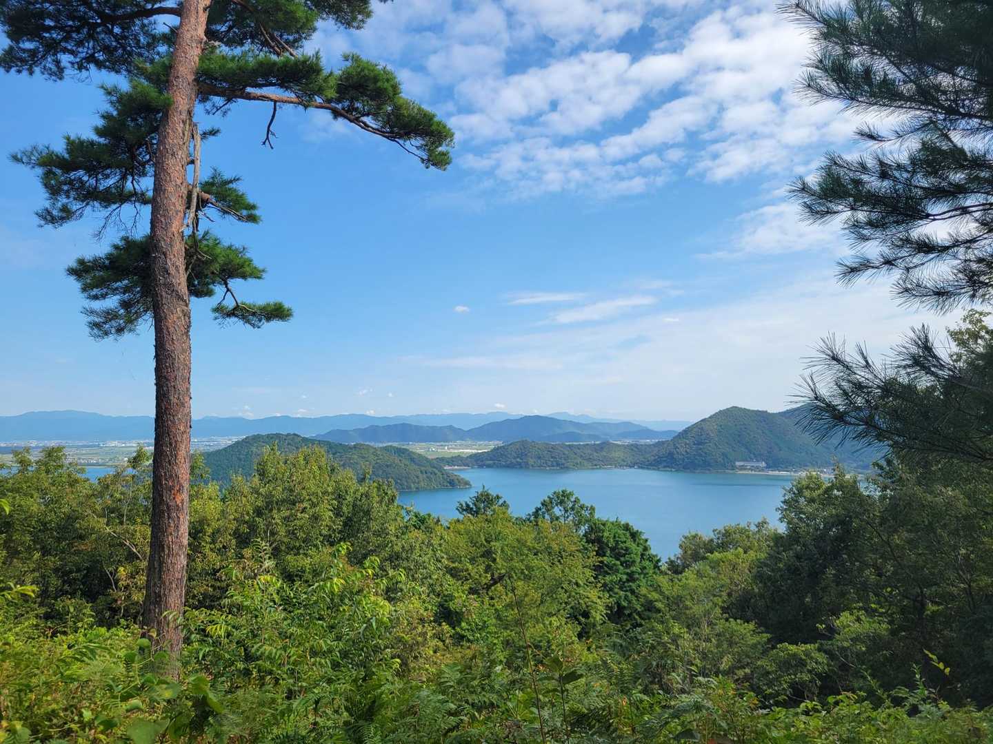 ケンケン山登口-ケンケン山-ホオジロ広場-尾山 周回コースの写真