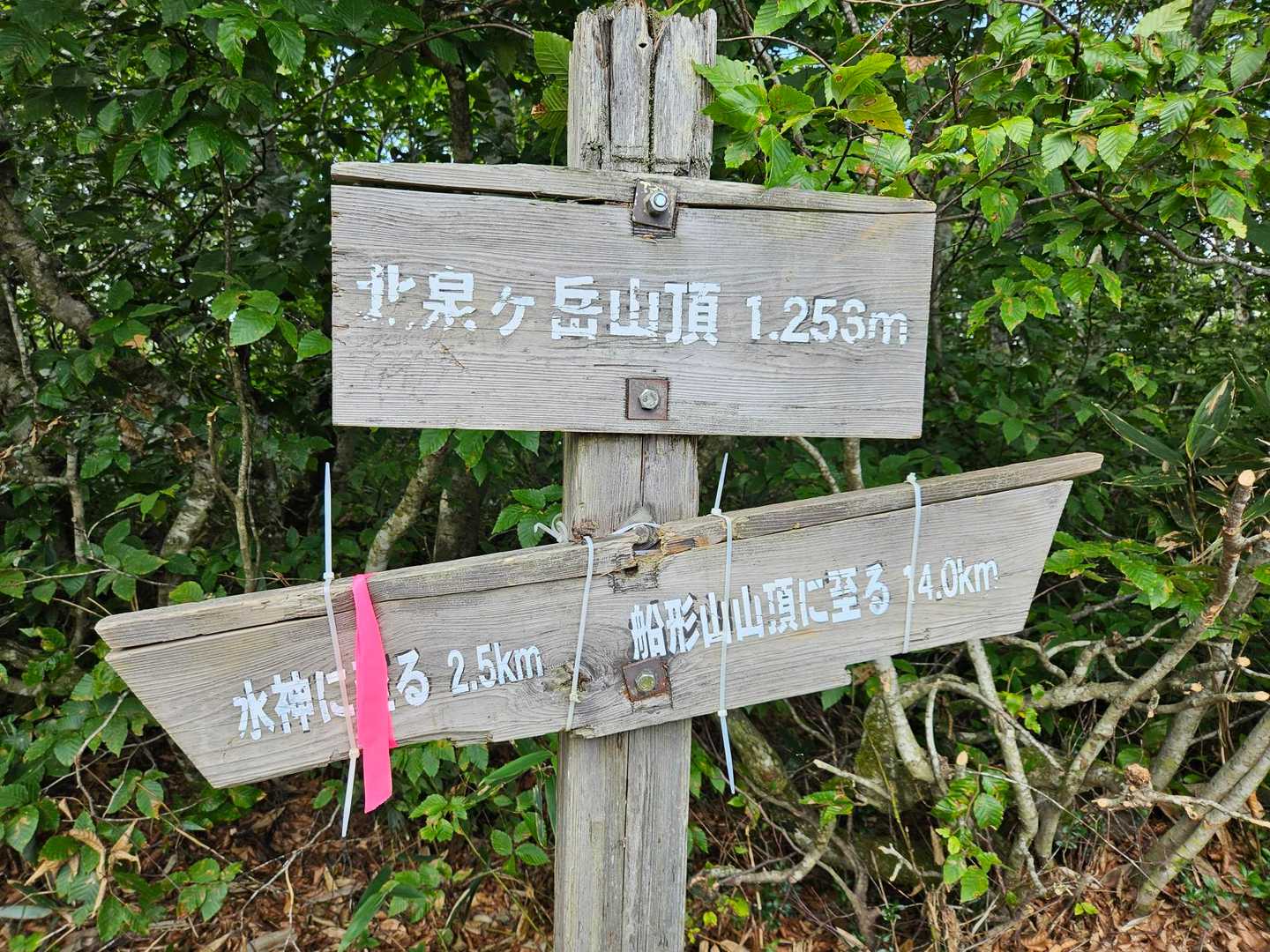 お分れ峠-泉ヶ岳-北泉ヶ岳 周回コースの写真