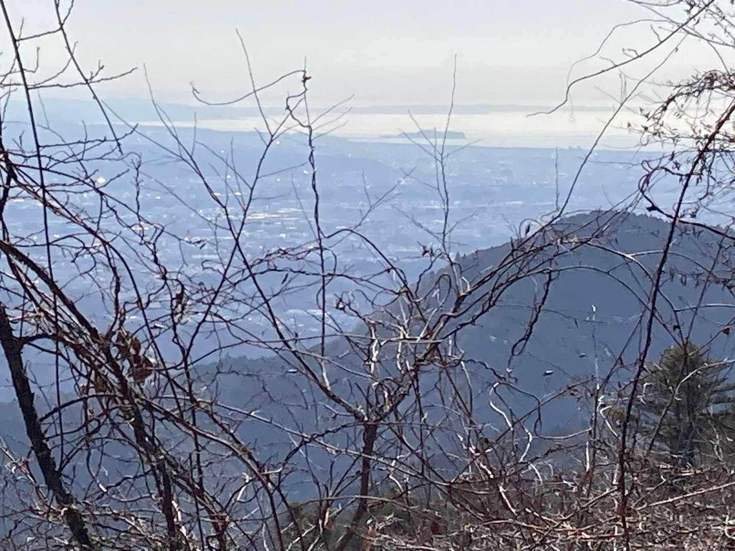 江ノ島が見えてきた〜♪