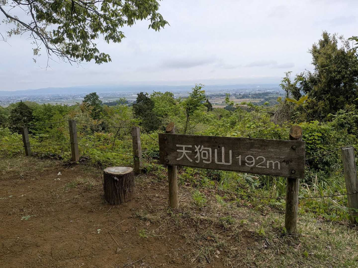 鵯山-天狗山 周回コースの写真