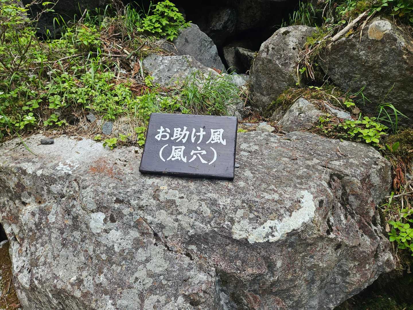 お助け風
天然のクーラーでした