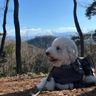 ぼくはまだまだ疲れておりません