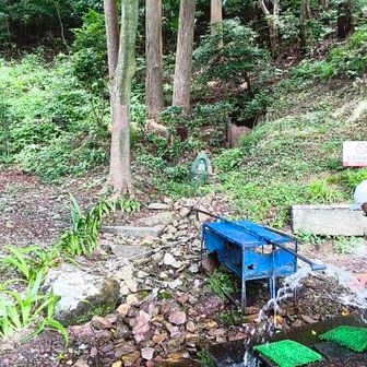 酒清水までの道は たまらんね😁1滴も水分をとっていなかった💦