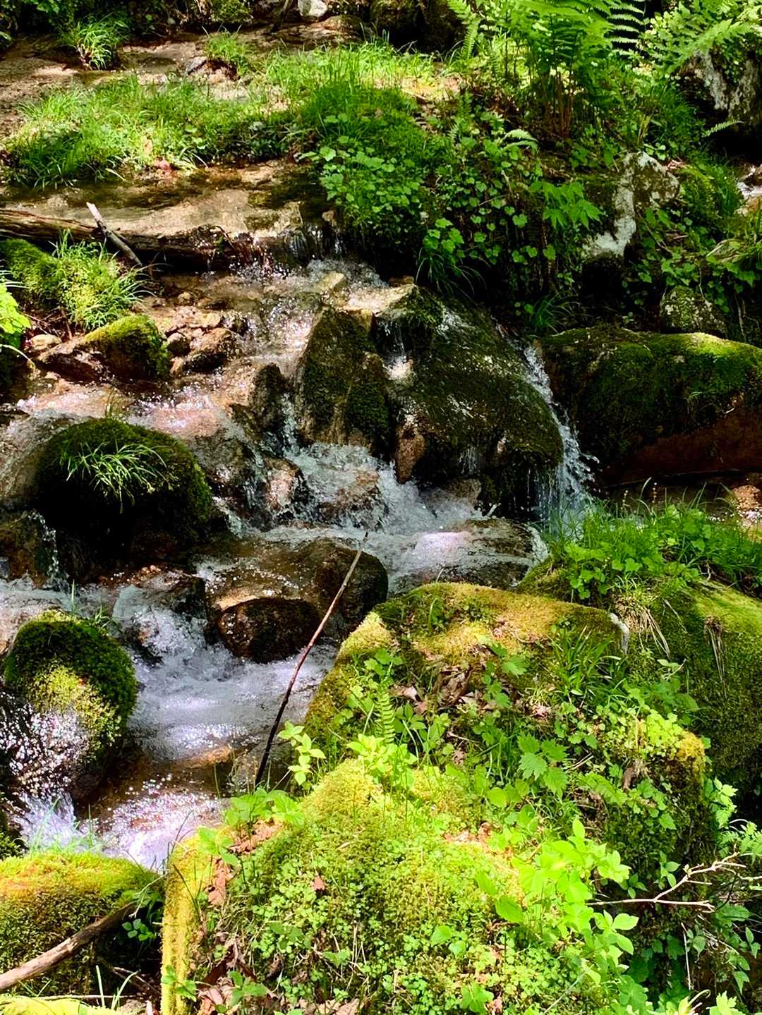 貝月散歩道入口-貝月山-小貝月山 周回コースの写真