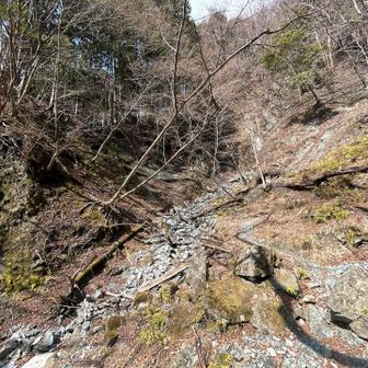 雨山峠へは先にある木橋を渡りながら⬅️へ

⚠️ここまでは南向きの沢歩きですがこの先、雨山峠越えの玄倉林道コースは山の西側になる為、薄暗い所も現れます😎ご注意を‼️

🧨爆竹鳴らしながらのルンルン🔈🎶歩きをオススメします💕