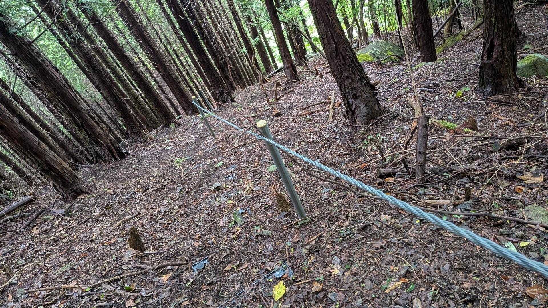 ここもワイヤー