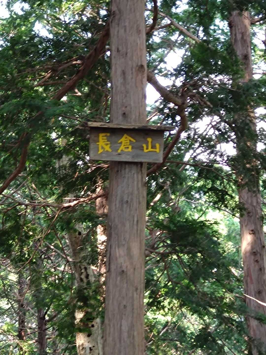 宇都宮市森林公園駐車場登山口-長倉山-天狗鳥屋 周回コースの写真
