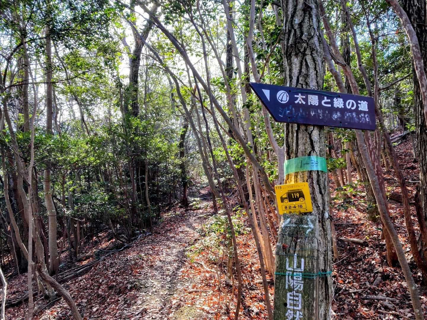 ここからが北山⛰️からのシダシダヤブヤブ、ザレザレ、不明瞭な迷い道クネクネへの入り口でした😱