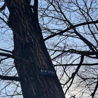 ラスト・むすび山❣️

おしまい。

ご覧いただきありがとうございました😊
m(_ _)m
