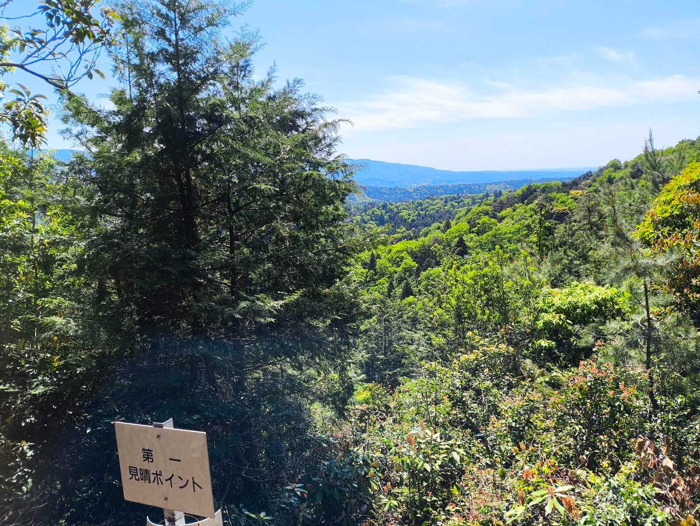 第一見晴らしポイント
真正面に養老山地