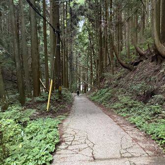 めっちゃおいてかれる