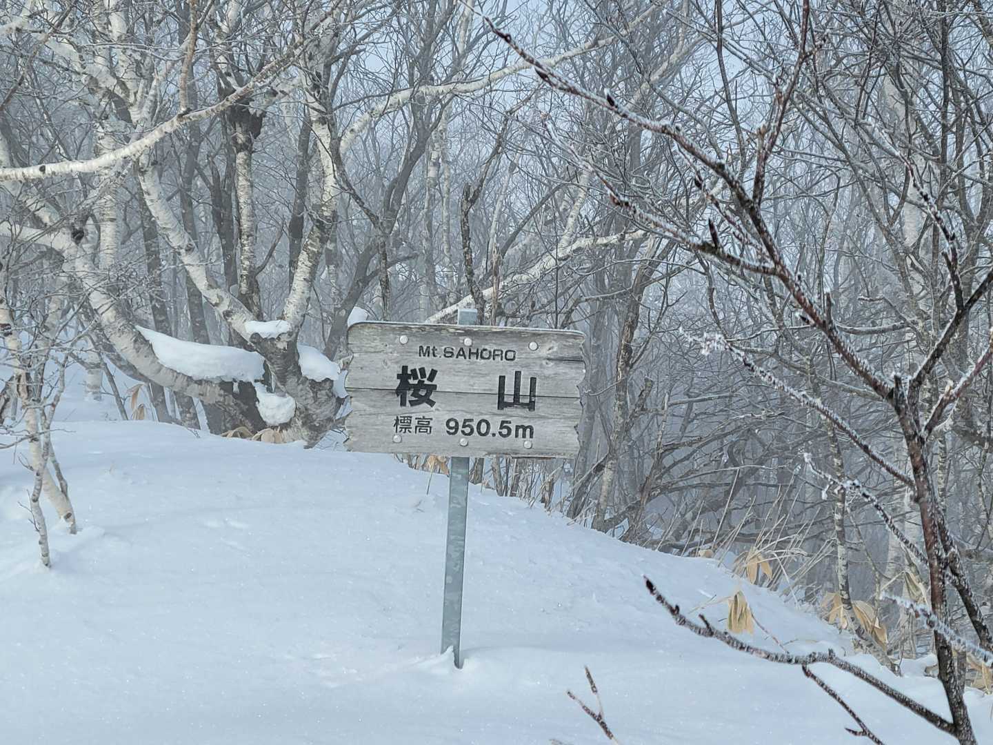 なんとか桜山へ🗻
さくらまやは、帯広出身！