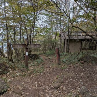 東屋まで降りてきました。向かって左側へ行く道に小沼、と書かれています！小沼には、いろんな行き方があるんだなぁ✨️