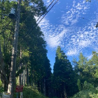 登山口に戻って来ました。

もう秋の雲？