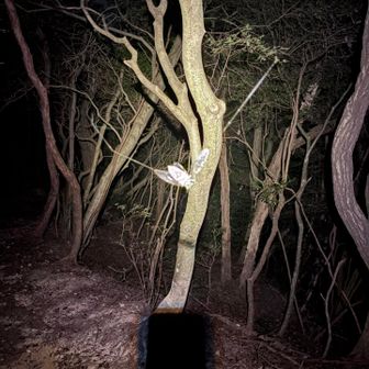 今日は先週よりも蜘蛛の巣が多い🕸️
蝉が引っかかっているのは初めて見たかも👀

ん〜、オレもこうならないように気をつけないと。