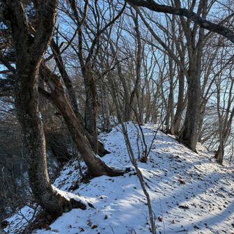 尾根に出て一安心😮‍💨