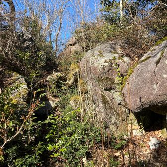 祠と思しきここを上がってみます。