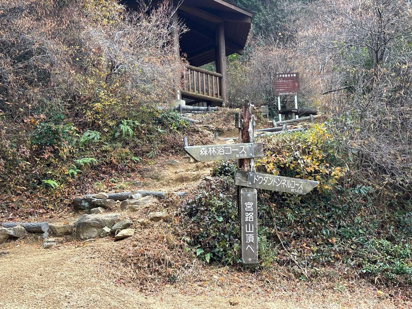 休み処　確かにコアブラツツジがいっぱい
紅葉見たかった🍁