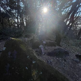 予定外の坊主山

ちなみに坊主山は坊主じゃありませんフサフサです