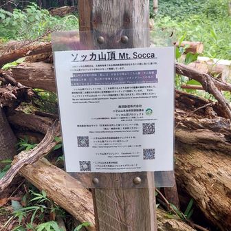 ソッ力山頂周辺は、土地所有者である西武鉄道株式会社さまとの話し合いに基ずきソッカ山頂プロジェクトが中心となって整値しています