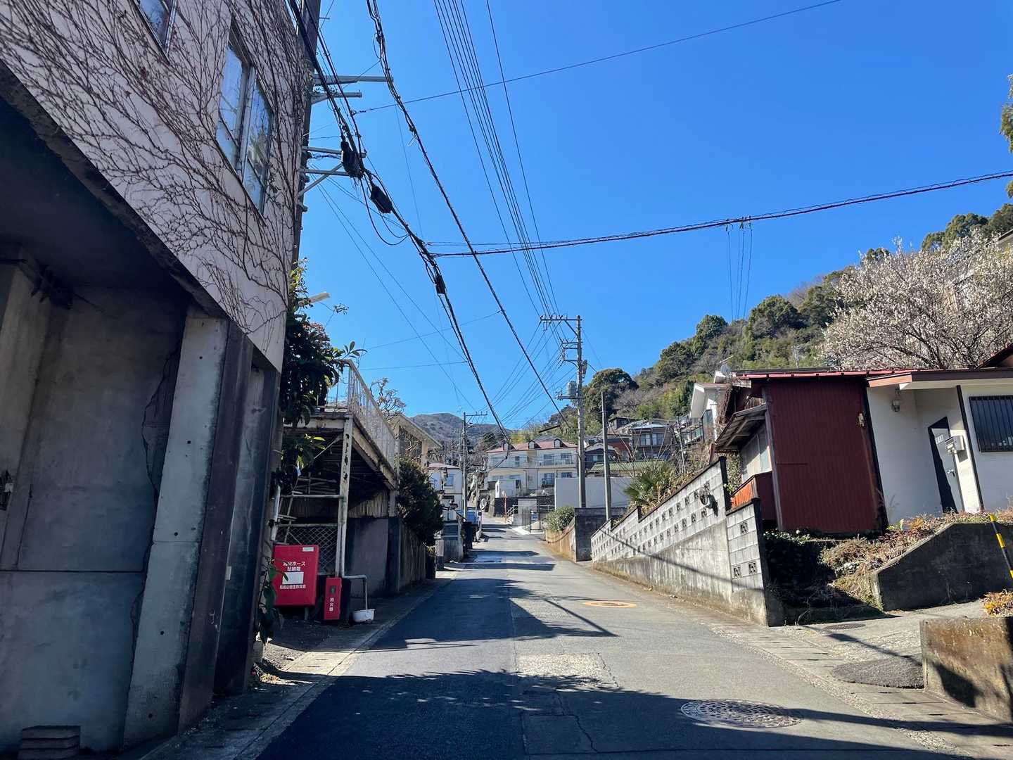 玄岳ハイクコース入口-玄岳 往復コースの写真