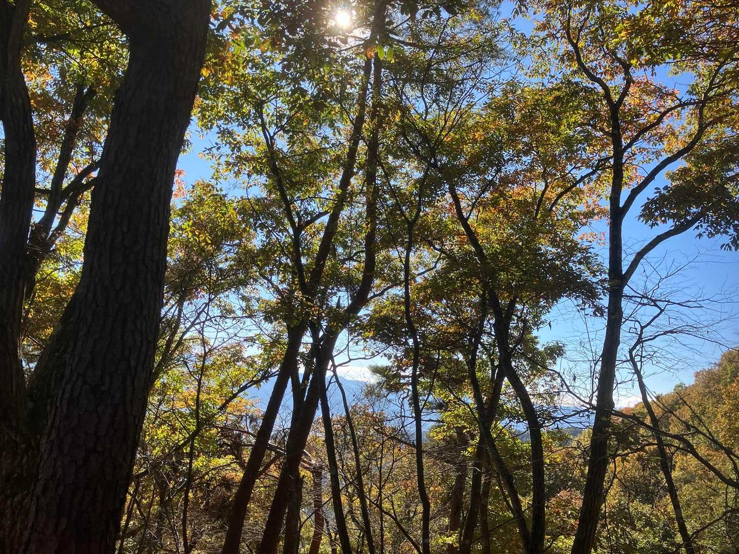 兜山周回 | クライマー集う岩壁の先、木々の隙間から覗く富士の特別感の写真