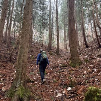 なんか、最初からソコソコの登りで暑くなる🥵