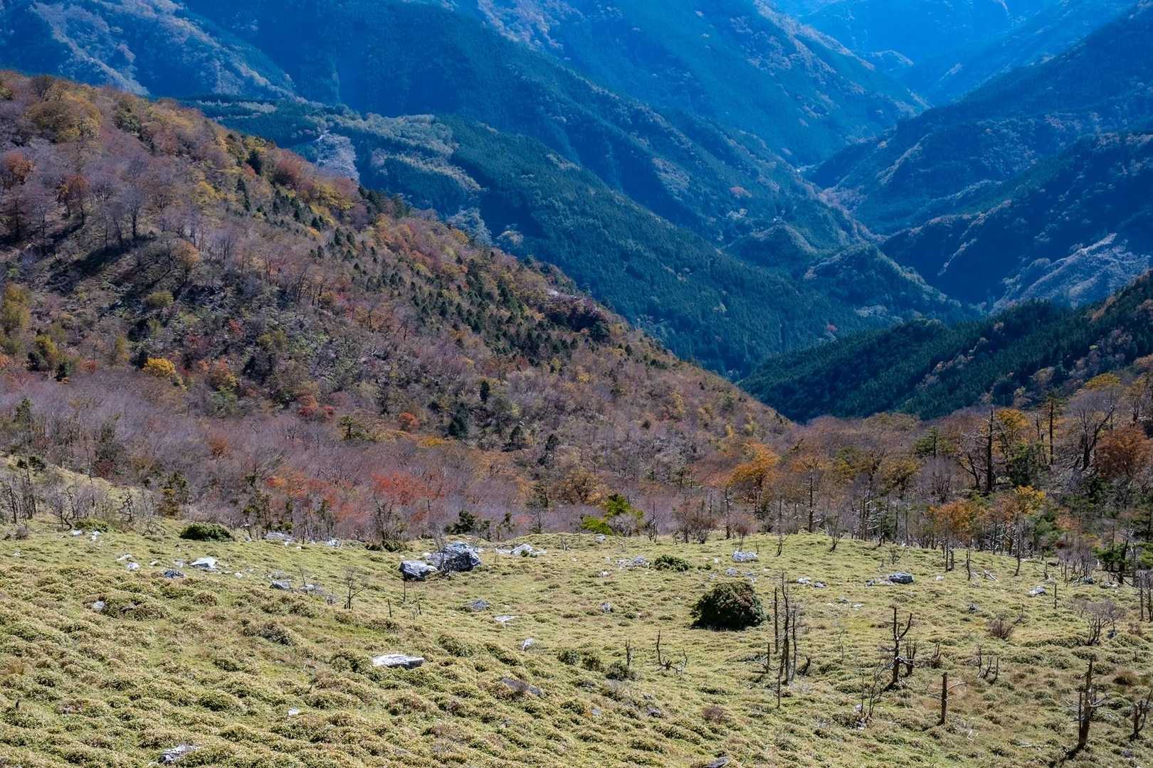 矢筈峠-土佐矢筈山-小桧曽山 往復コースの写真