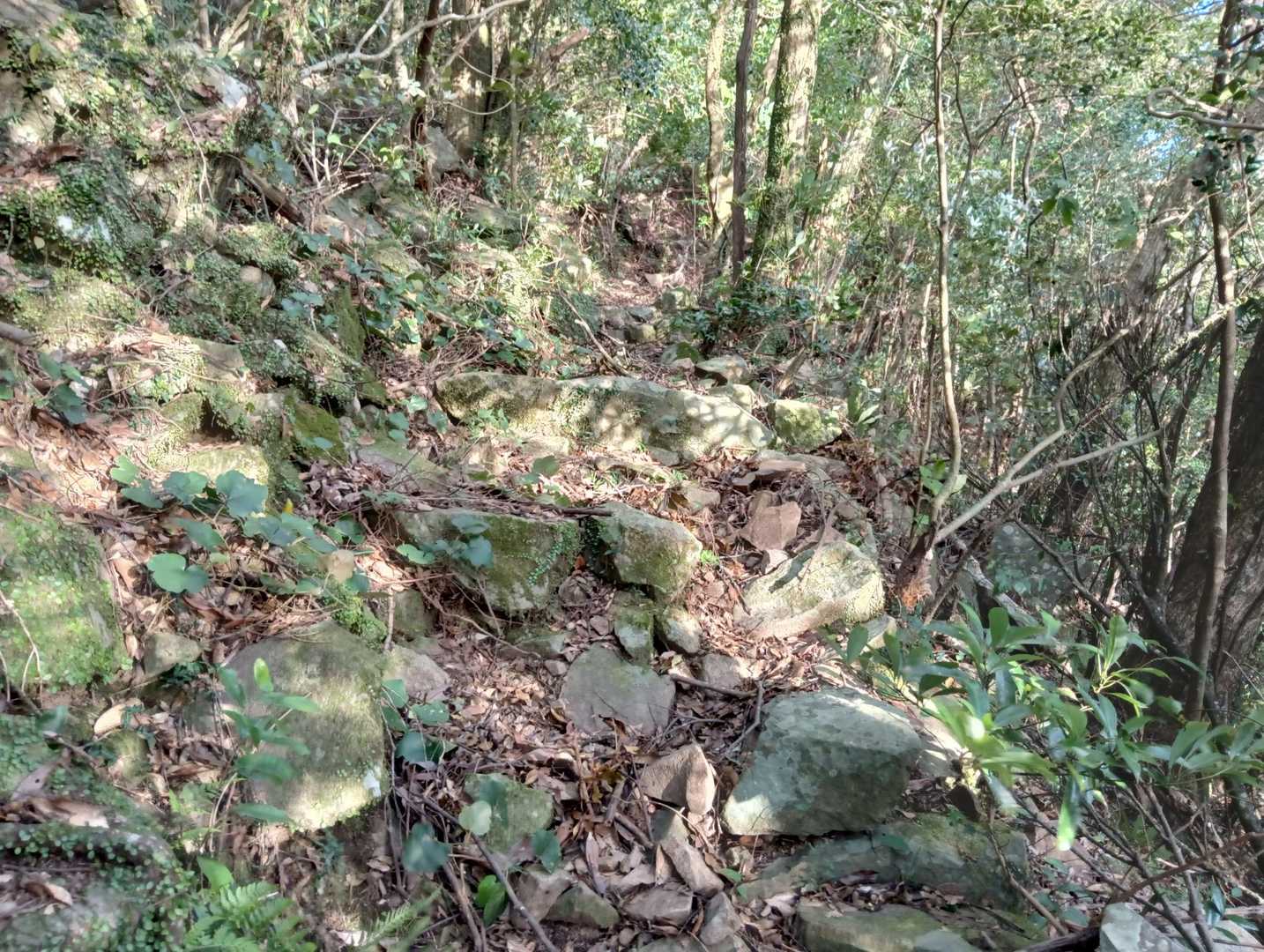 旧参道の石段を