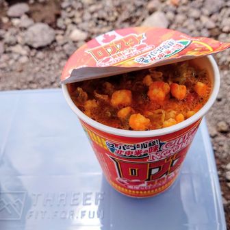 本日の昼食です。⋯箸もフォークも忘れましたがなんとか完食できました。