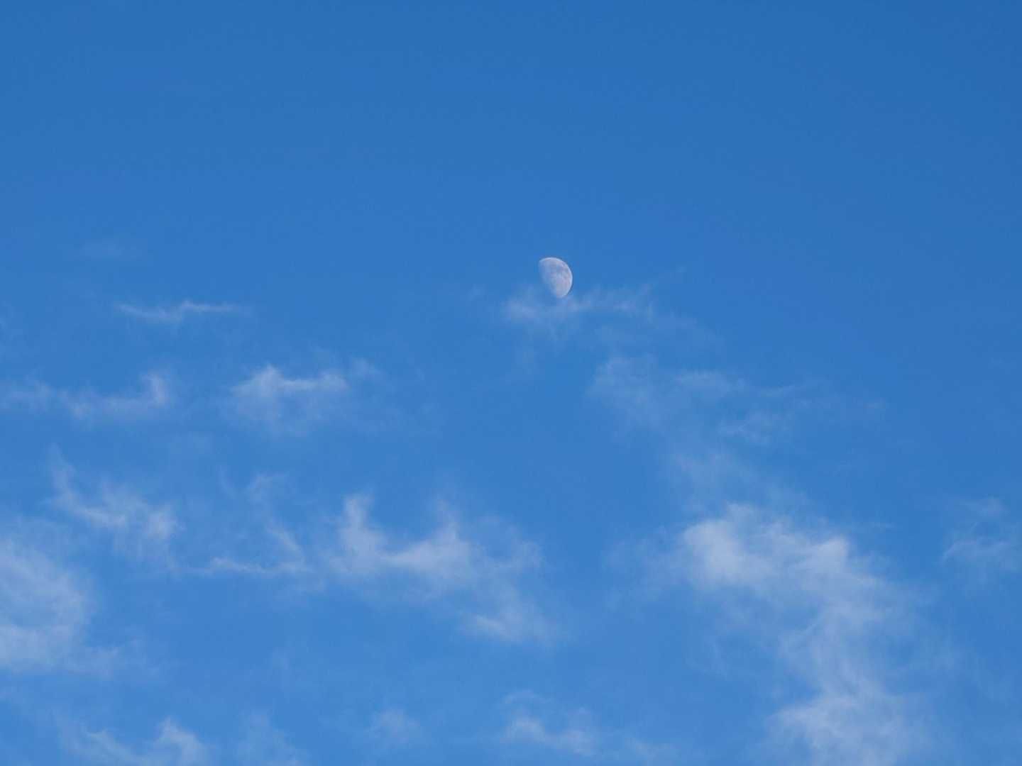 三笠台 縦走コースの写真