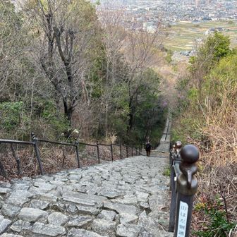 けっこう急な階段
