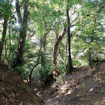 一旦、下界民家まで降りる。