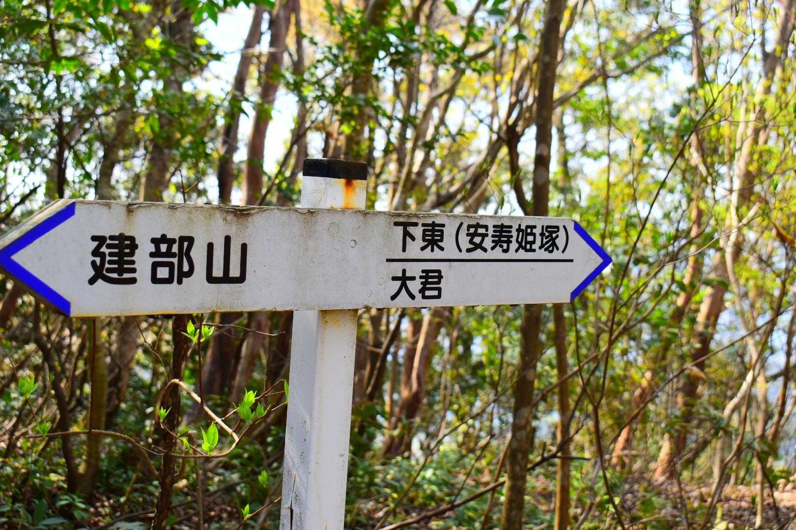 片道３キロ　　こんな道なら余裕のヨッチャンイカ🎶