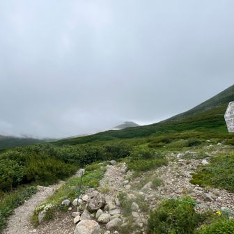 少数ながら高根ヶ原方面に向かった登山者がいる事を管理人から聞いて、ちょっと安心

近距離でヒグマと遭遇したら戻ってくると約束して、分岐から先、高根ヶ原へ
