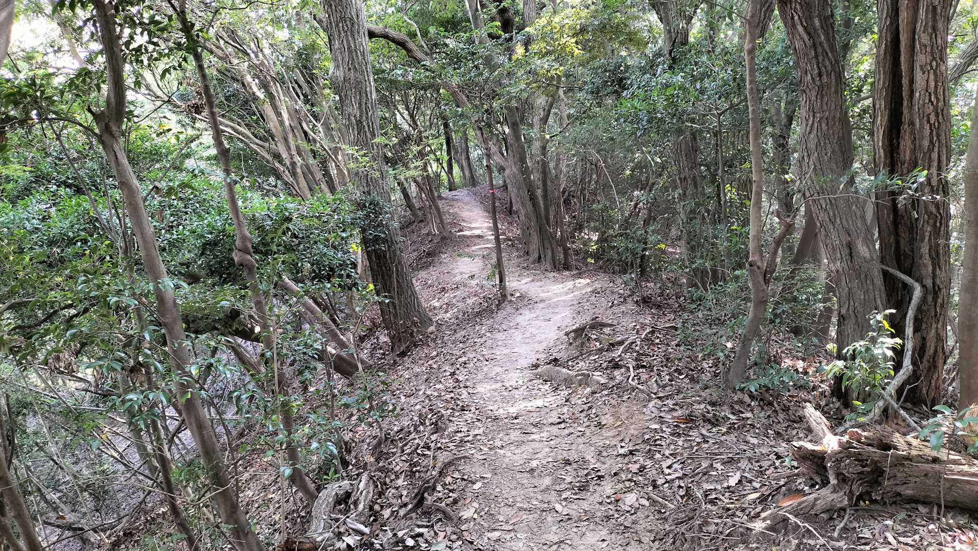 尾根道をまた進みます。整備されていてたいへんありがたいです。