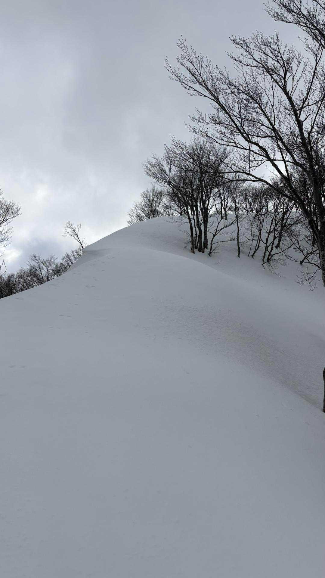 ここ上がると