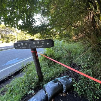 一旦三国峠に戻り、道路反対側のトレイルへ。