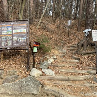 矢立石登山口。ここまでもなかなか登りごたえがあります。