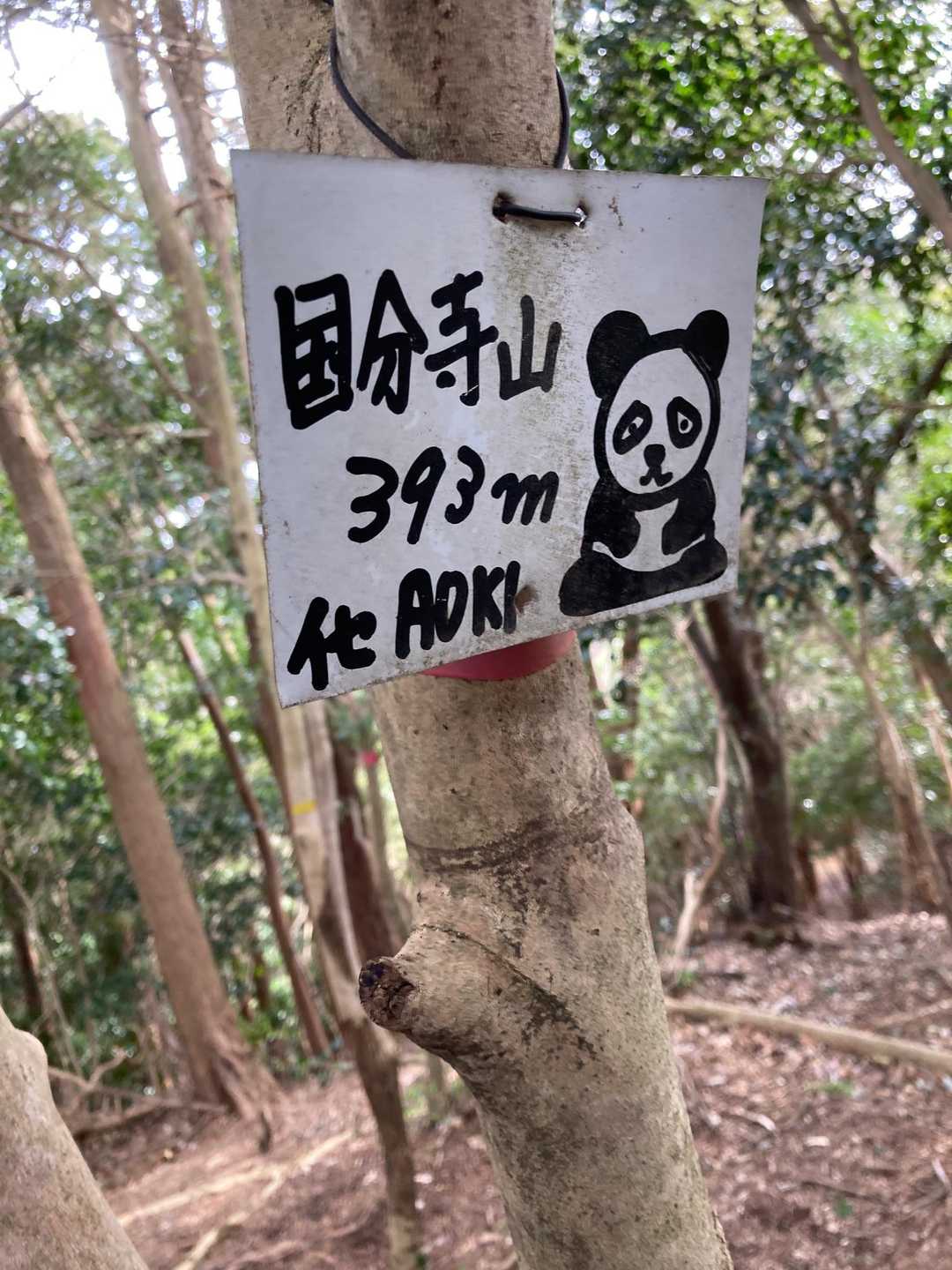 ここまでは普通だった😅