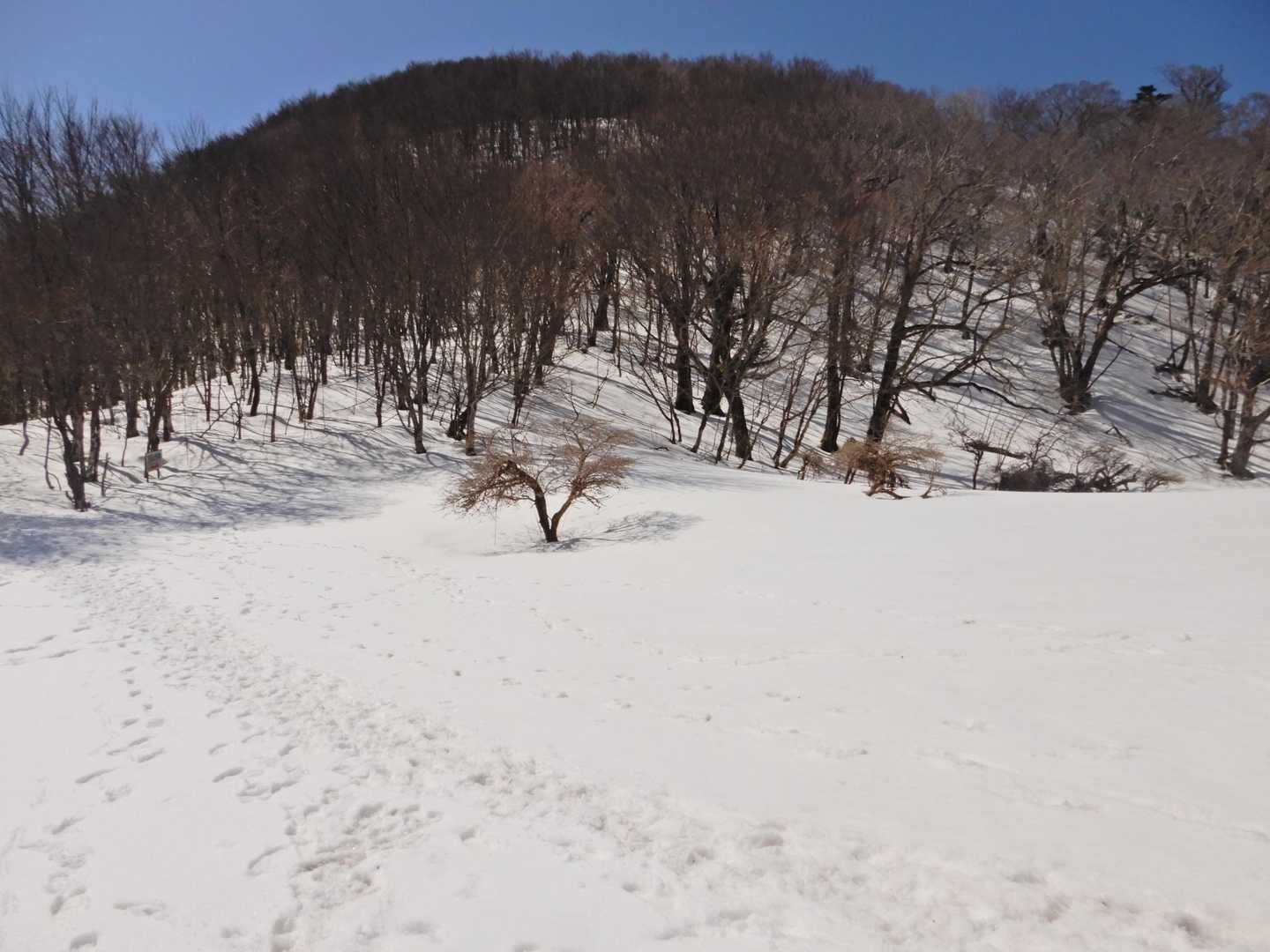 けっこう上がって来られてました。