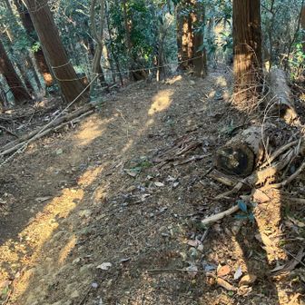 薩摩塔下の激下りを下りていきます。尻餅1回でした。