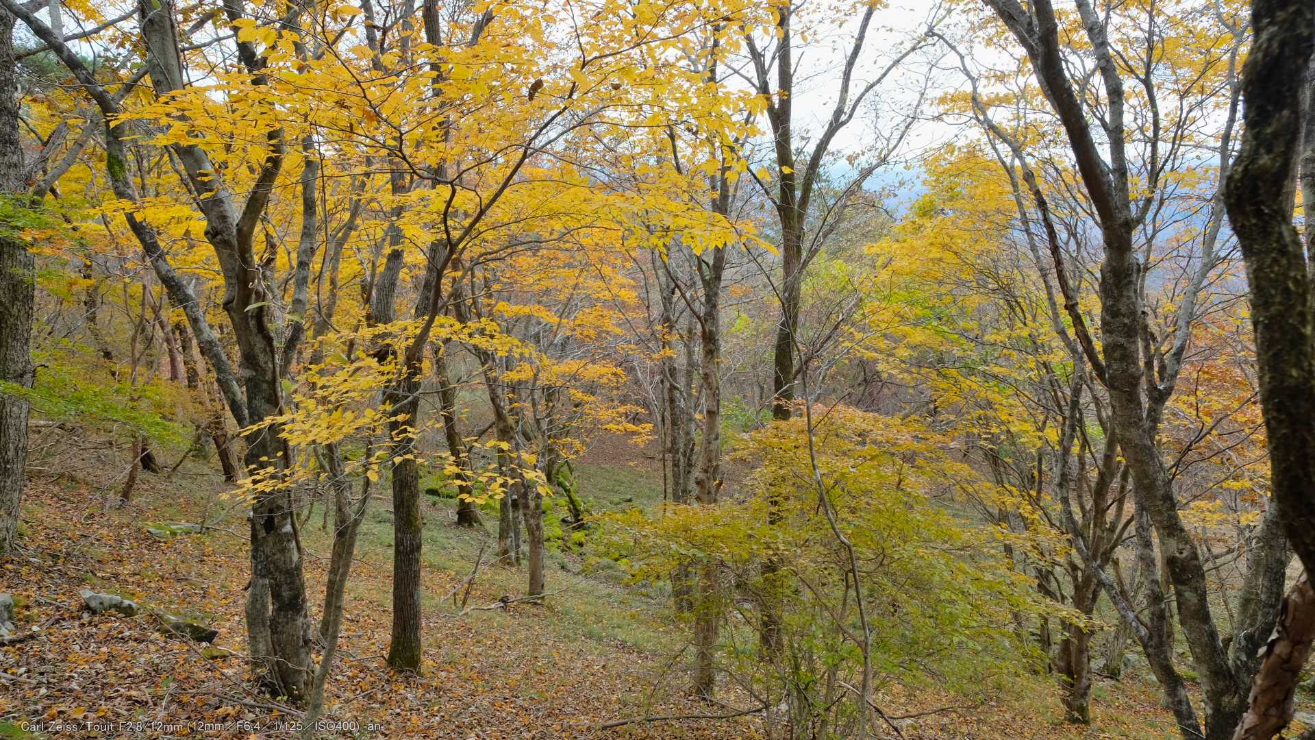 ちょっと紅葉の綺麗なところ。