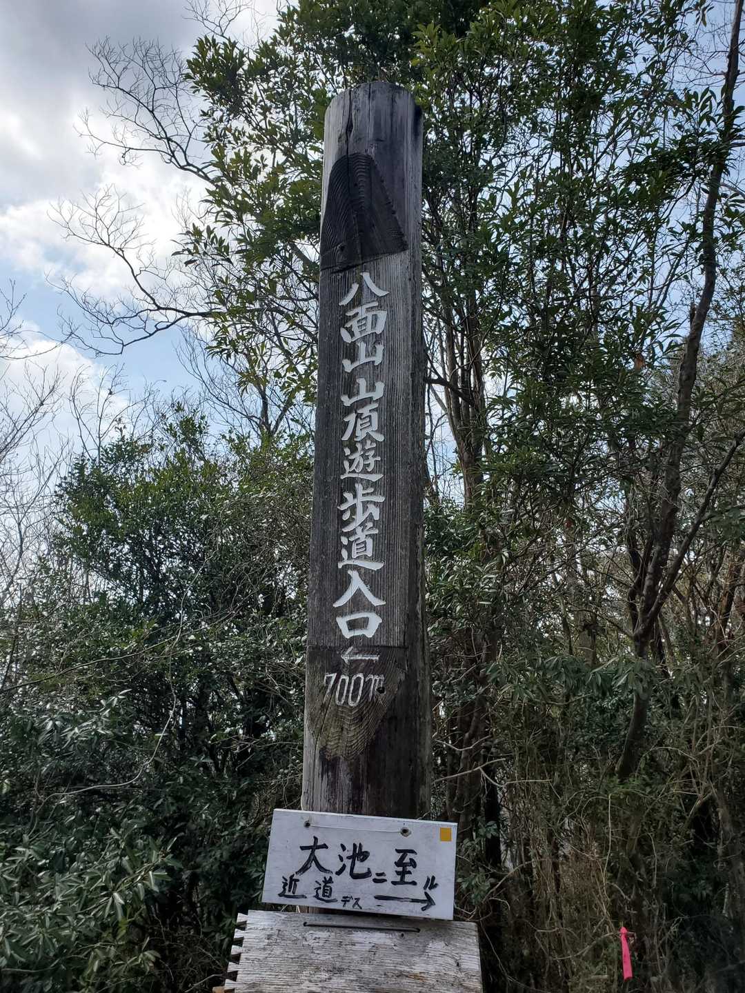 スタート🚶‍♀️
１人は淋しいな😅～なんて思ってたら大池の方から男性が🚶‍♂️