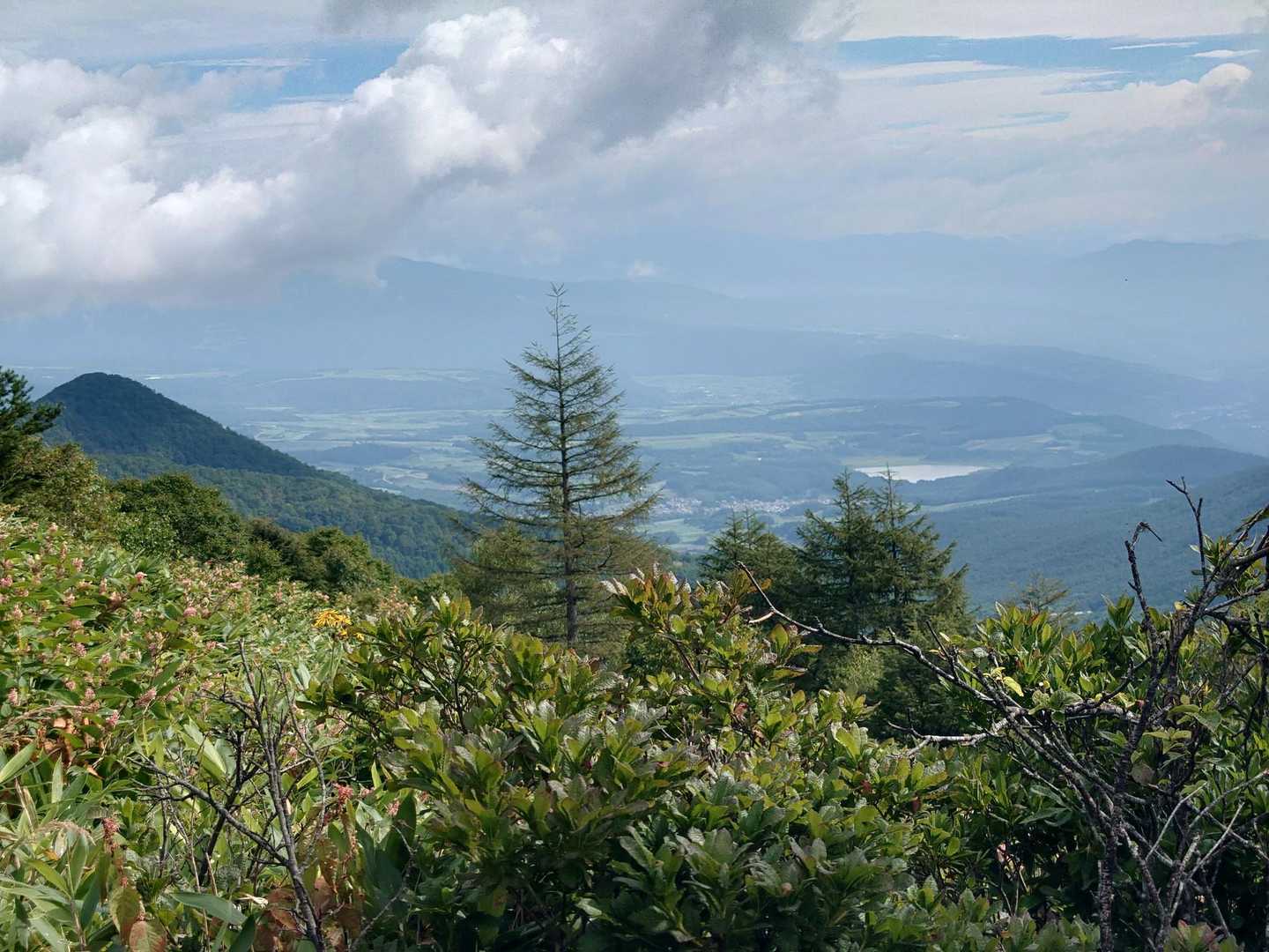 地蔵峠-湯ノ丸山-烏帽子岳登山口 縦走コースの写真