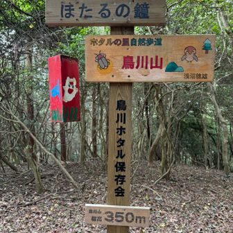 鳥川アルプスの名前と同じ「鳥川山」