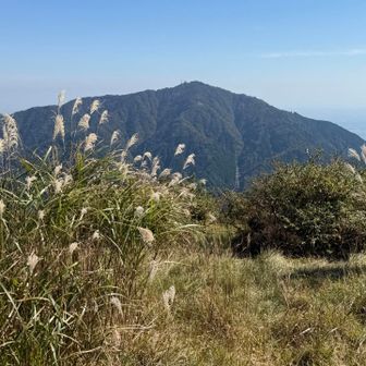 三ノ塔からみた大山