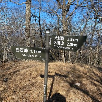 前大室の登り返しで再度やられました…。暑さもあってこの後ジュースを500cc二本近く近く飲みました。
