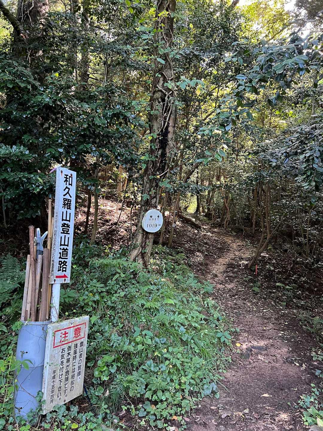 こちら💁‍♀️スタート💨